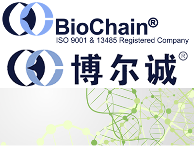 BioChain代理，BioChain上海代理，BioChain北京代理，BioChain 总代理，BioChain一级代理，BioChain试剂盒，BioChain kit，BioChain国内代理无锡四五零科技有限公司(四五零实验试剂)BioChain专业_代理，具体产品信息欢迎电询：0510-85291432